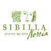 Logo la Sibilla di Norcia