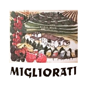Logo Azienda Agraria Migliorati a Montone
