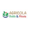 Logo Agricola Baldo e Riccia