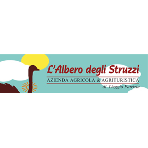 L'Albero degli Struzzi a Penna in Teverina