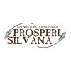 Logo Prosperi Silvana a Foligno