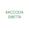 Raccolta Diretta a Torgiano