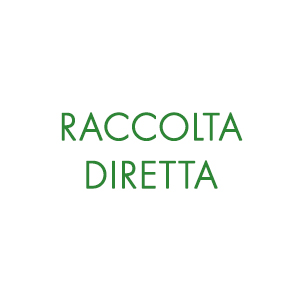 Raccolta Diretta a Torgiano