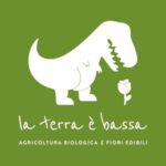 La terra è bassa
