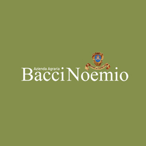 Logo Bacci Noemio a Gualdo Cattaneo