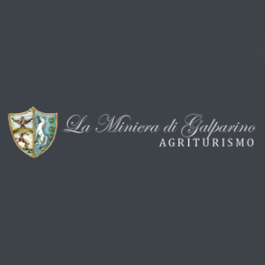 Logo La Miniera di Galparino, Città di Castello