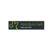 Logo Apicoltura Galli, Corciano